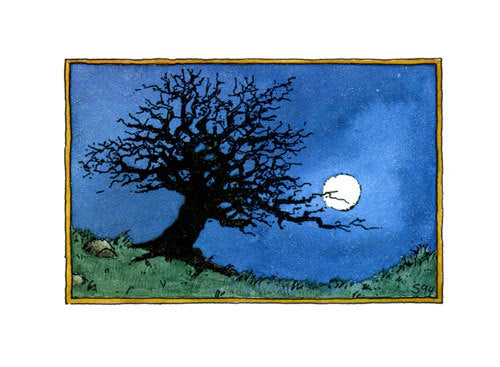 Arbre à cartes postales