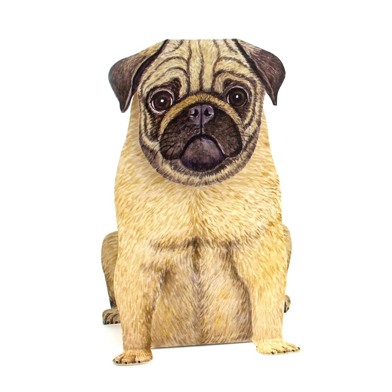 3D-Tierfaltkarte "Mops"