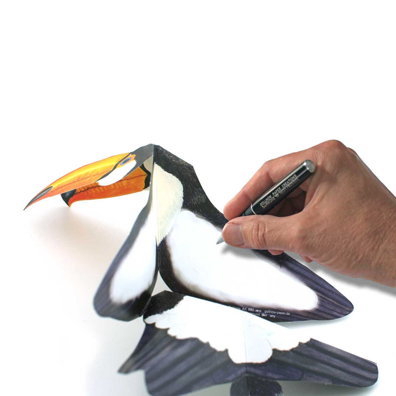 3D Tierfaltkarte "Tukan"