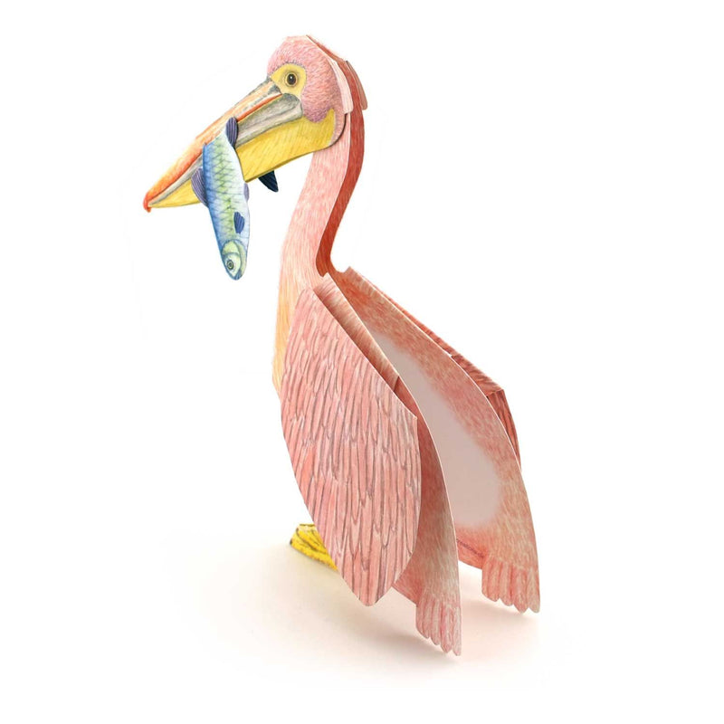 3D Tierfaltkarte "Pelikan"