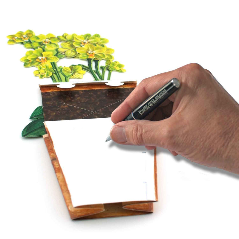 3D-Blumentopfkarte "Orchidee"