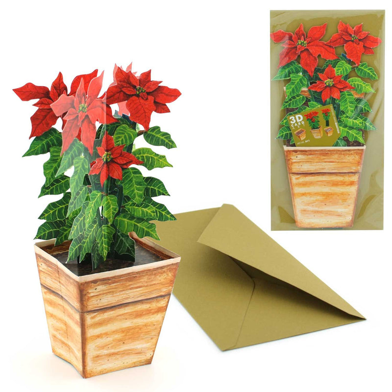 3D-Blumentopfkarte "Christstern"