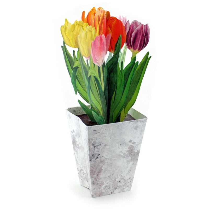 3D-Blumentopfkarte "Bunte Tulpen"