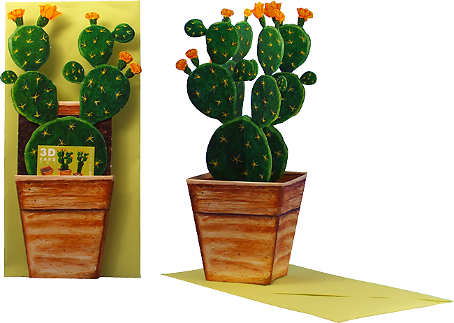 3D-Blumentopfkarte "Kaktus"