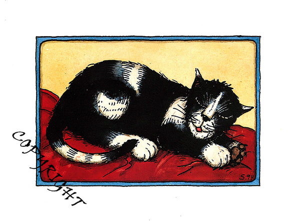 postkarte Katze