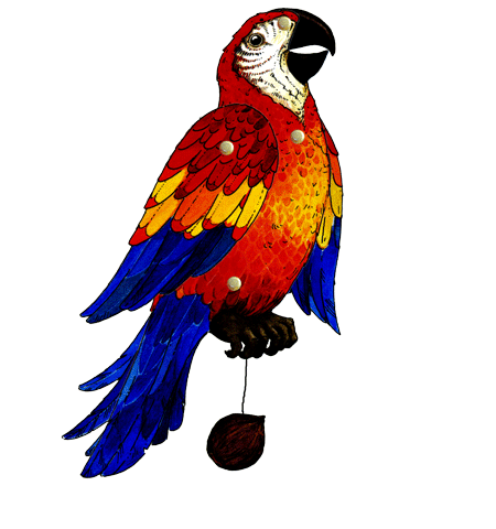 Bastelbogen Papagei