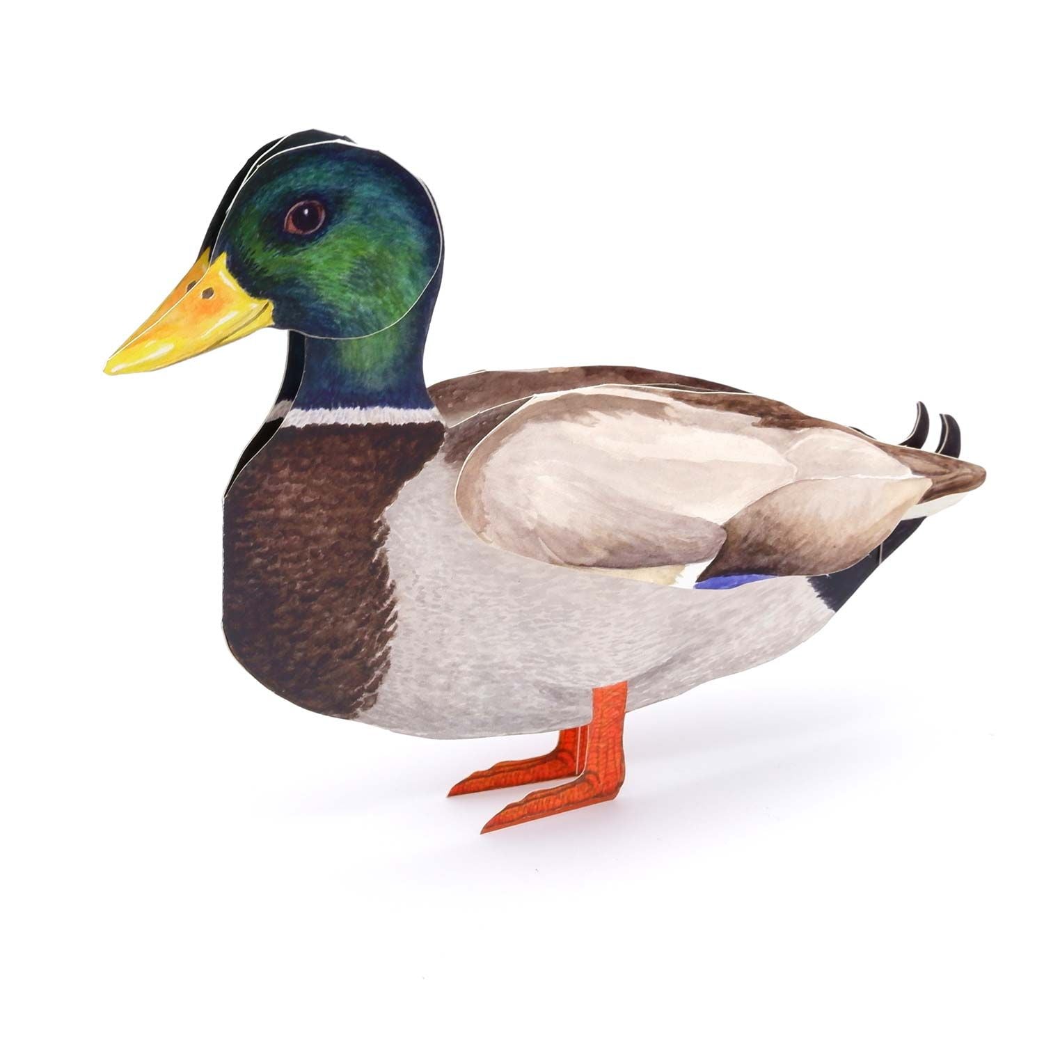 3D Tierfaltkarte "Stockente"